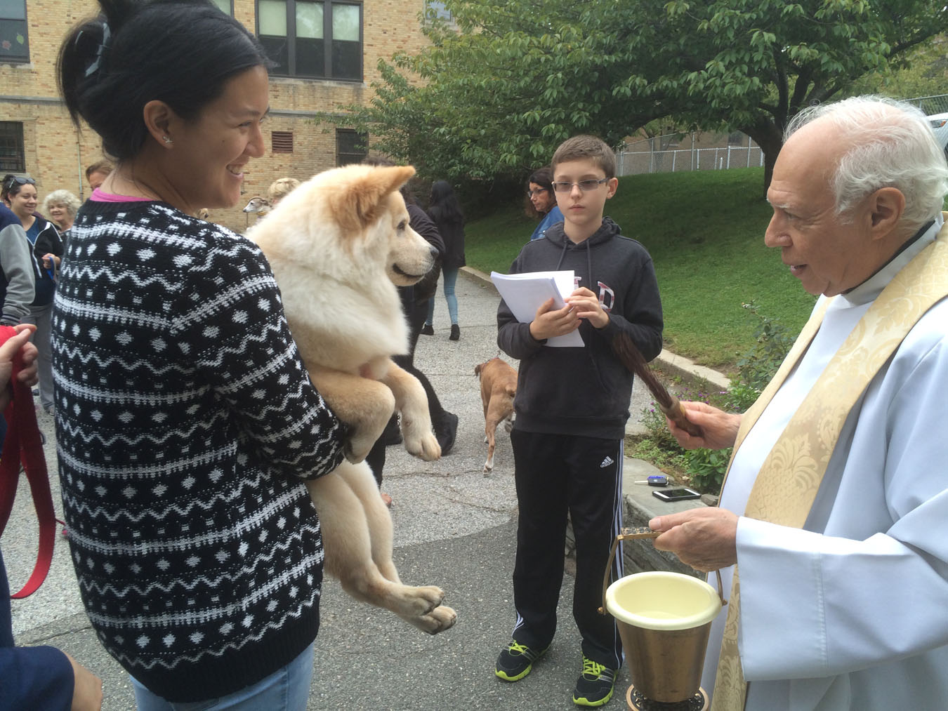 Fiesta De San Francisco De Asis Bendicion De Los Animales Nuestra Voz